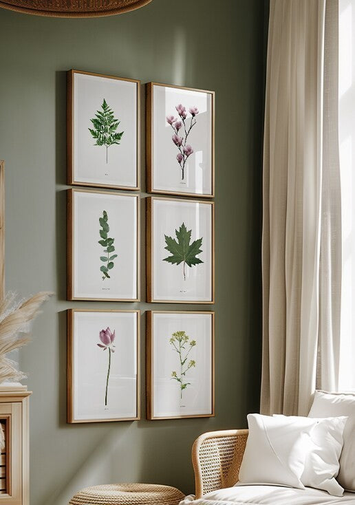 Composição de Quadros Decorativos com Plantas e Flores