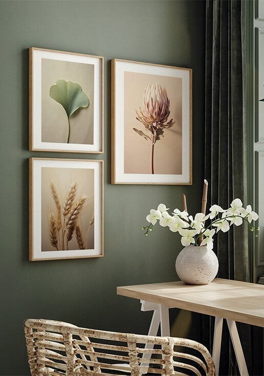 Composição de Quadros de Plantas com Borda