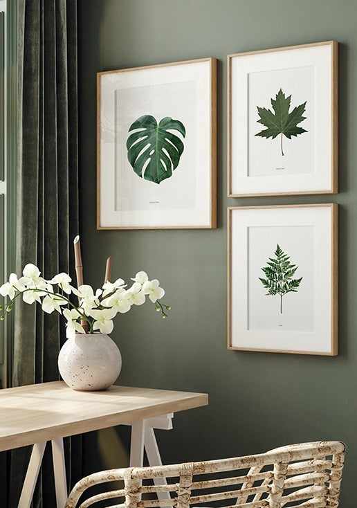Composição de Quadros com Folhas em Verde