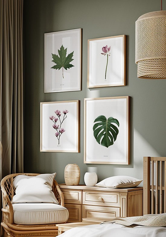 Composição de Quadros Plantas e Flores