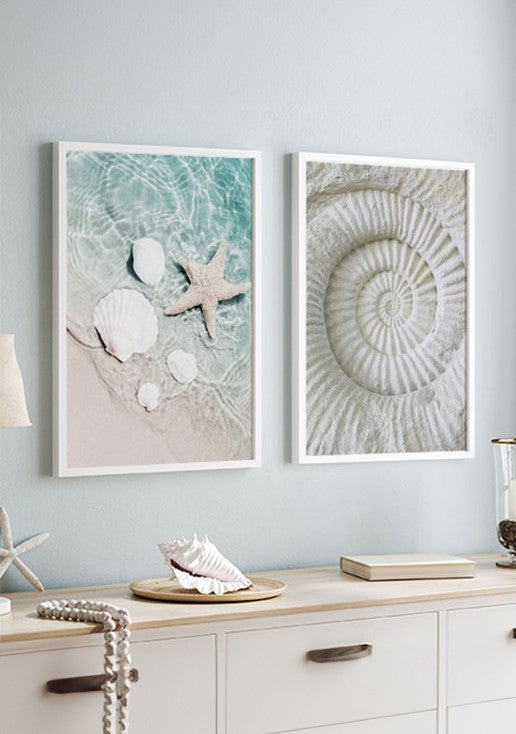 Kit 2 Quadros Conchas do Mar