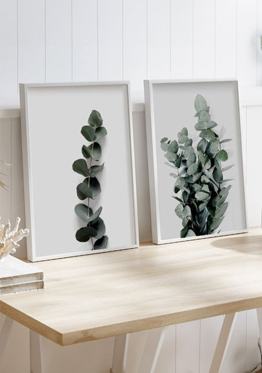 Kit 2 Quadros Folhas de Eucalipto