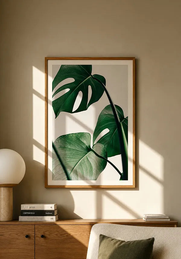 Quadro Costela de Adão (Monstera)