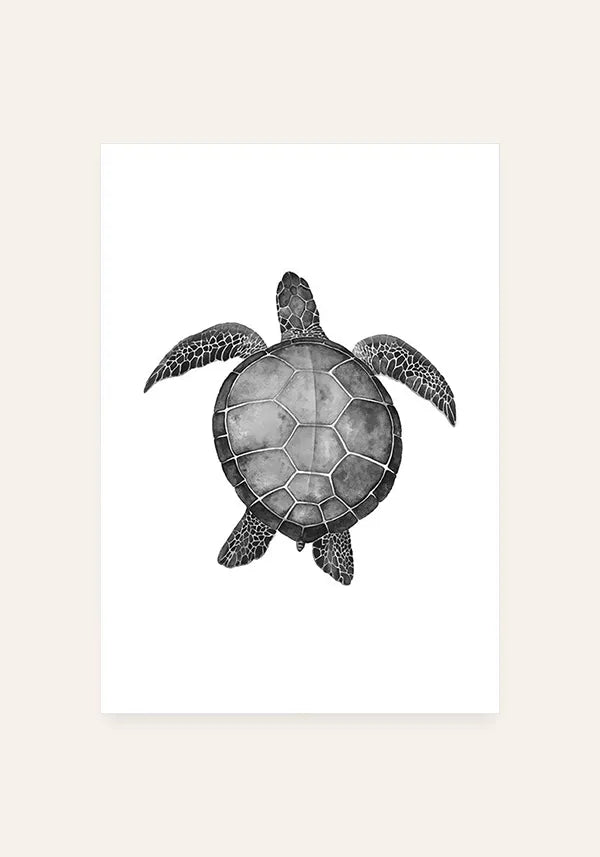 Quadro Tartaruga