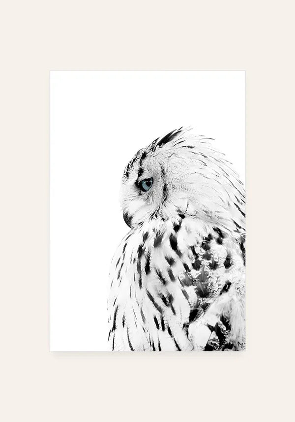 Quadro Coruja Branca