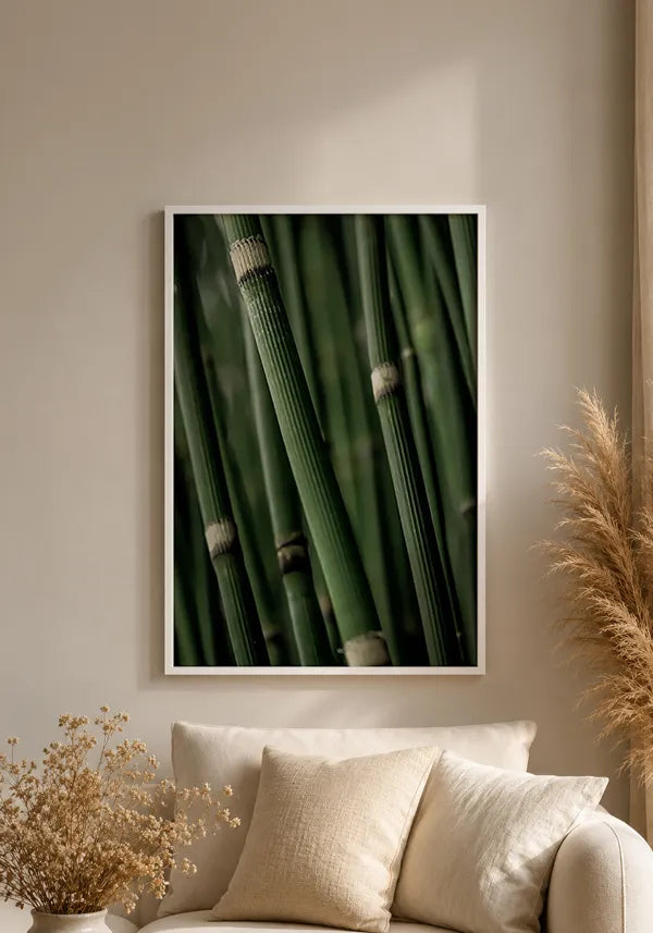 Quadro Bamboo