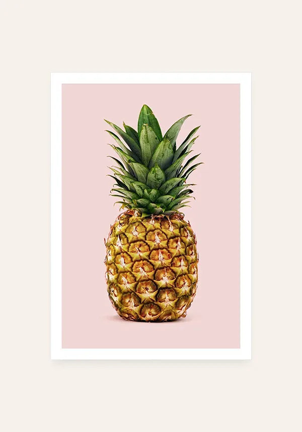Quadro Abacaxi Fundo Rosa