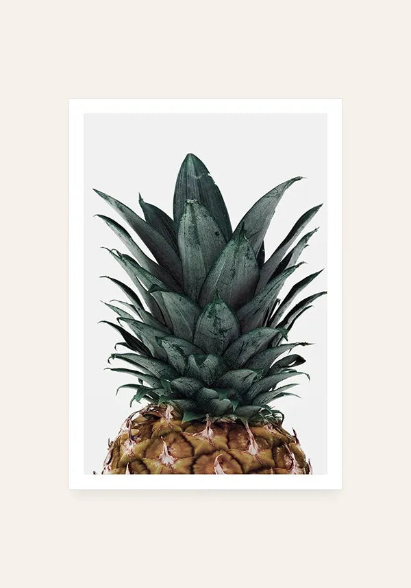 Quadro Abacaxi Coroa