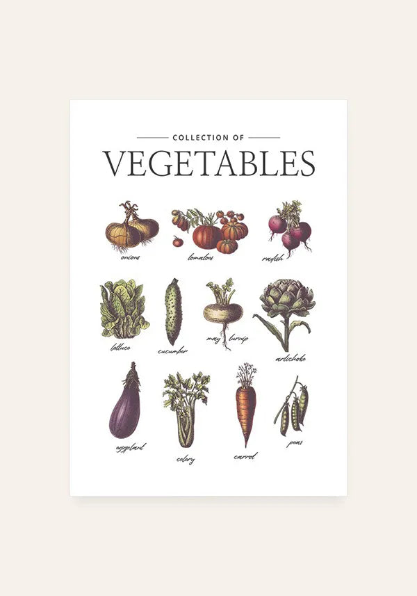 Quadro Coleção de Vegetais - Inglês