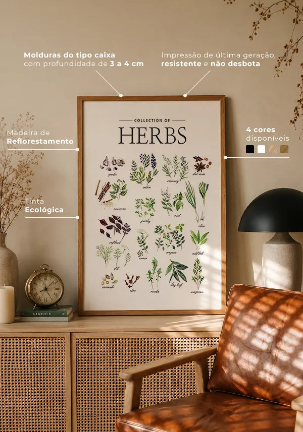 Quadro Coleção de Ervas - Inglês no ambiente