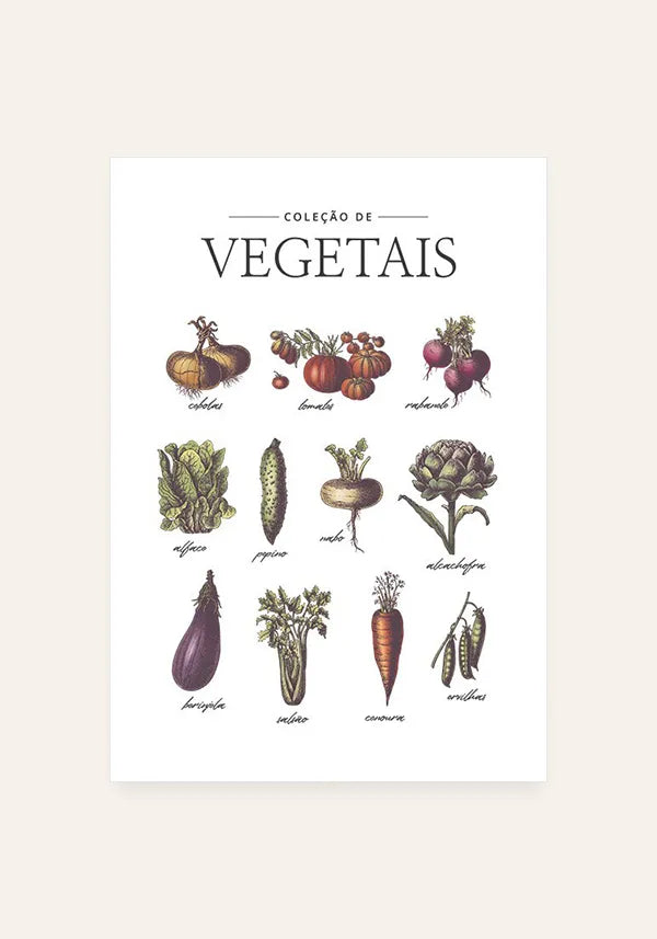 Quadro Coleção de Vegetais - Português