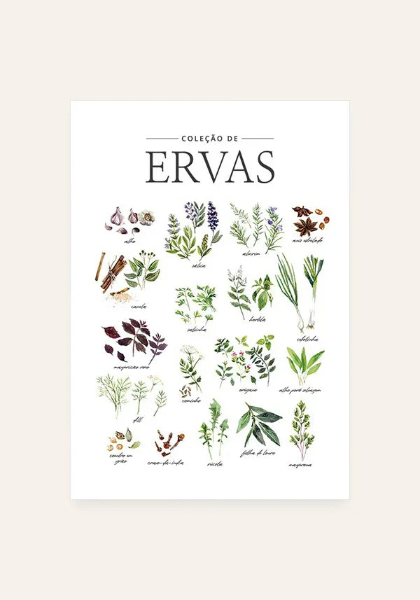 Quadro Coleção de Ervas - Português