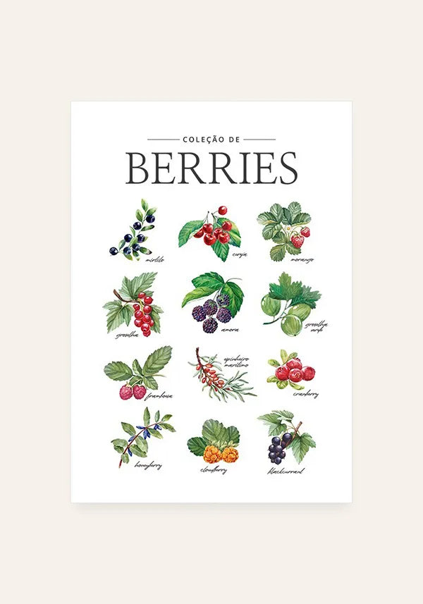 Quadro Coleção de Berries - Português