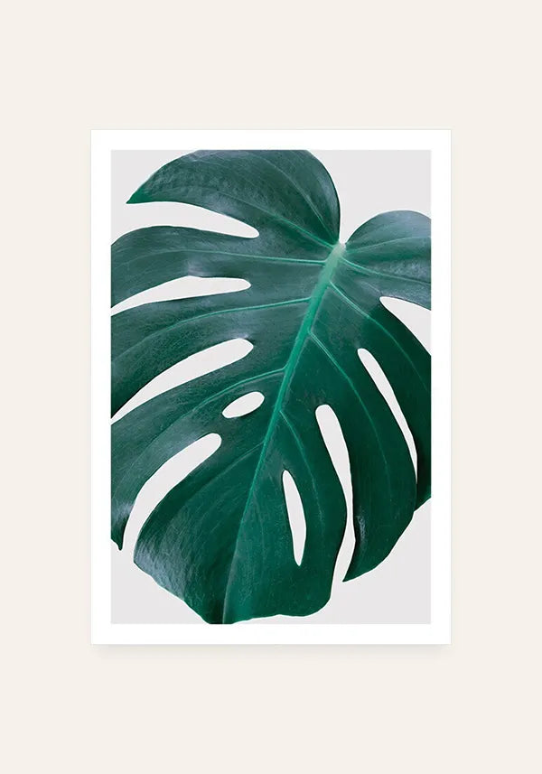 Quadro Monstera Detalhe