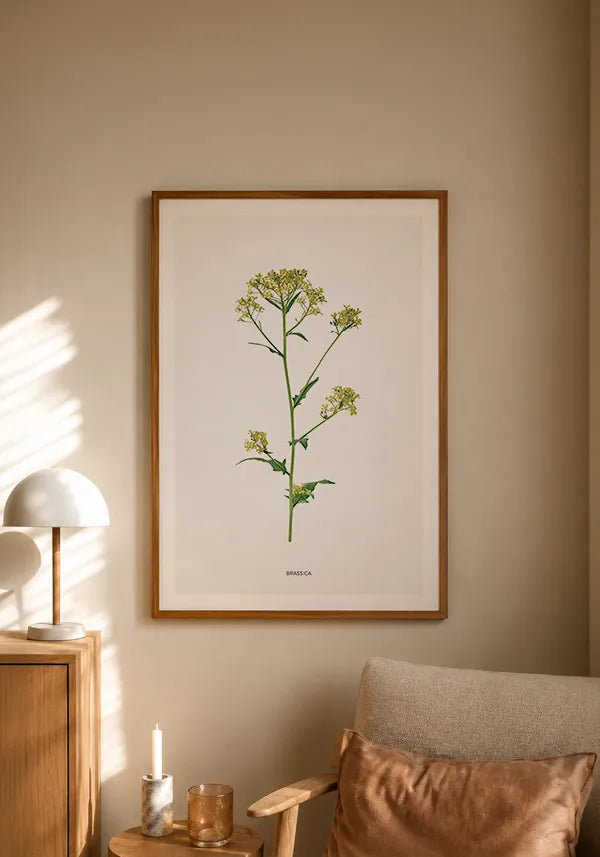 Quadro Brassica Flor