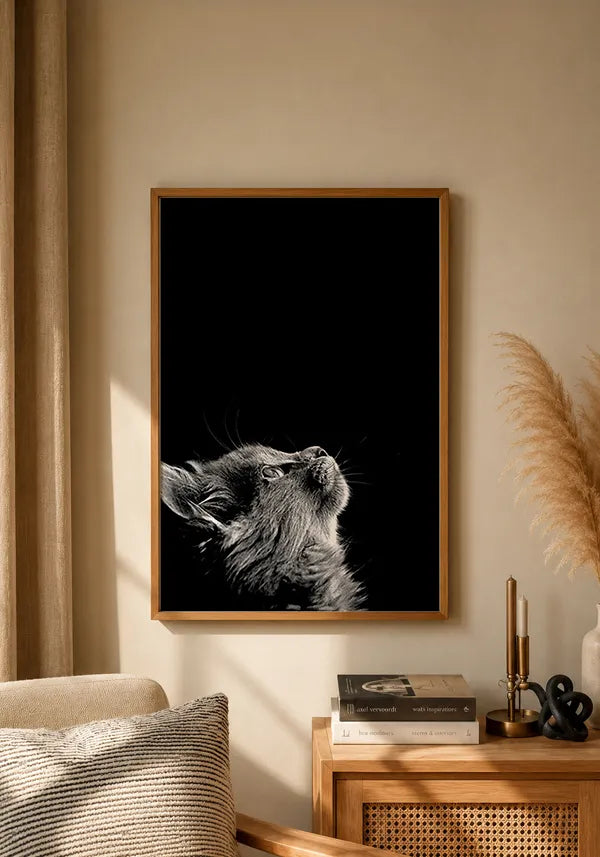Quadro Gato Curioso