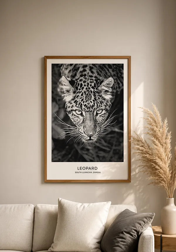 Quadro Leopardo