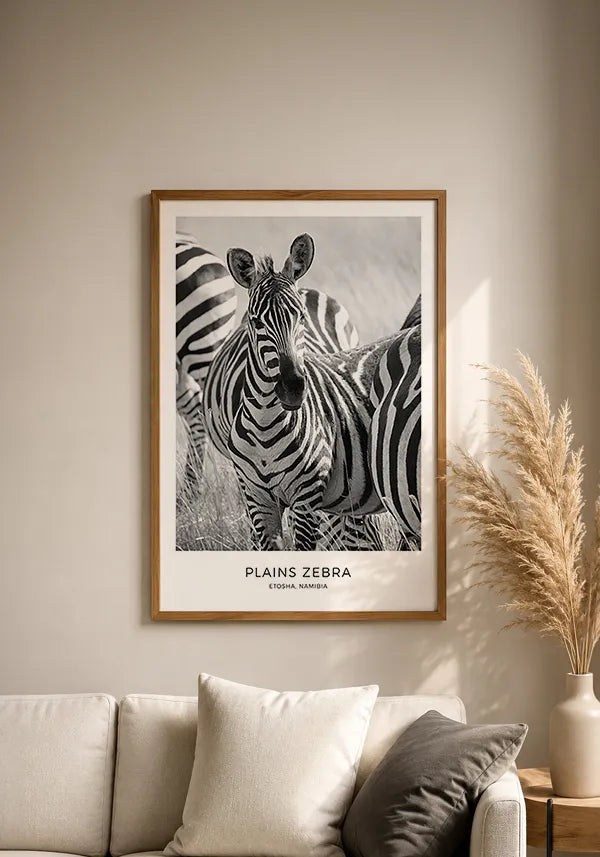 Quadro Zebras