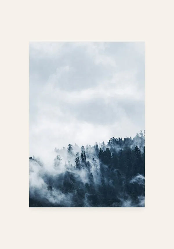 Quadro Floresta Nublada