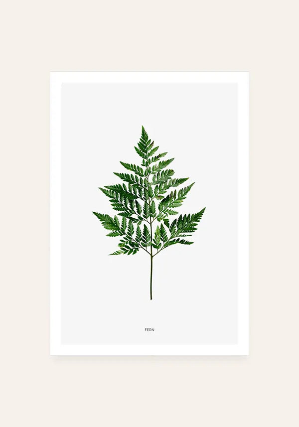 Quadro Samambaia / Fern