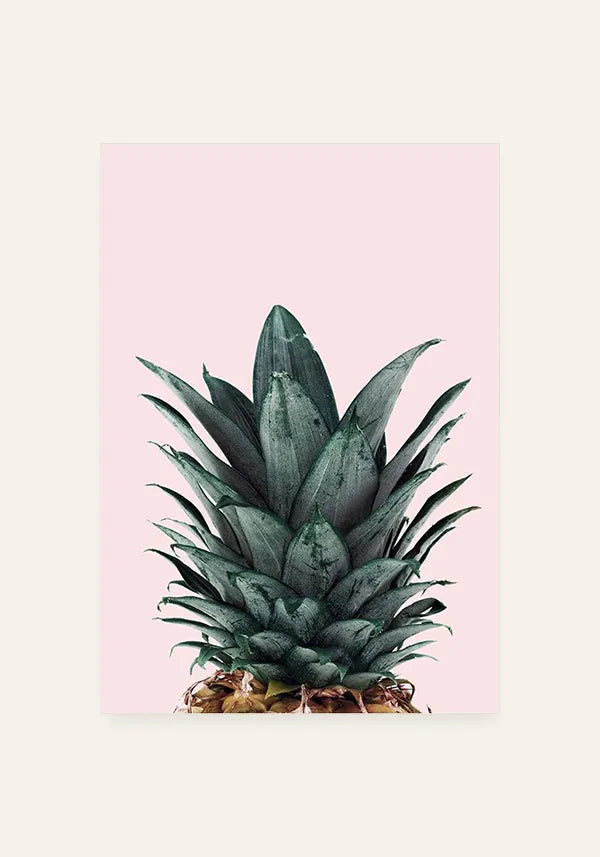 Quadro Abacaxi Coroa Rosa