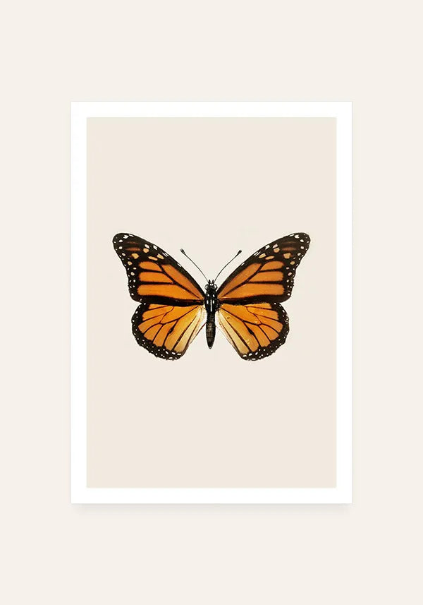 Quadro Borboletas