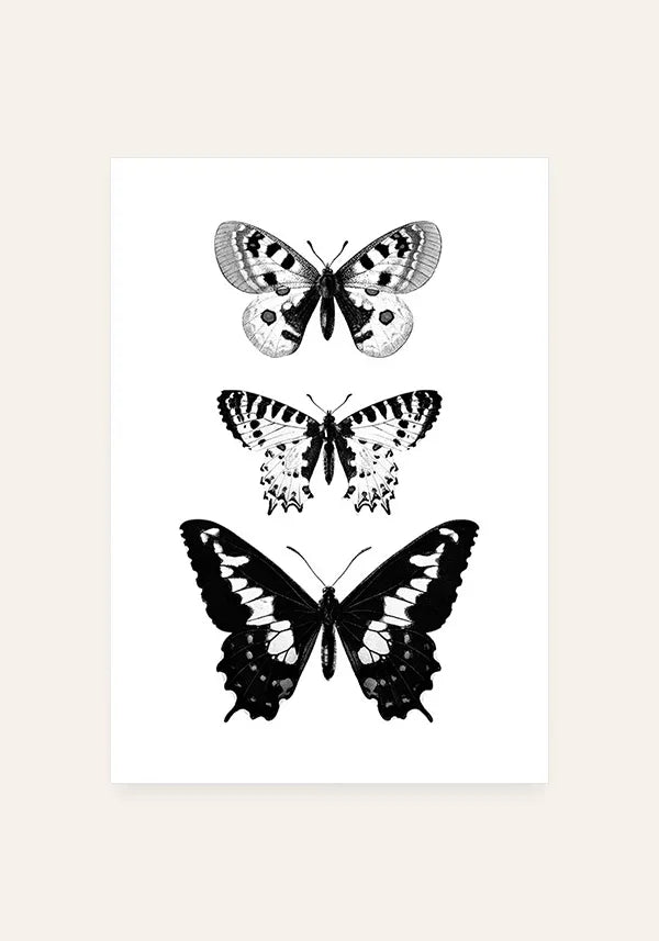 Quadro Borboletas Preto e Branco