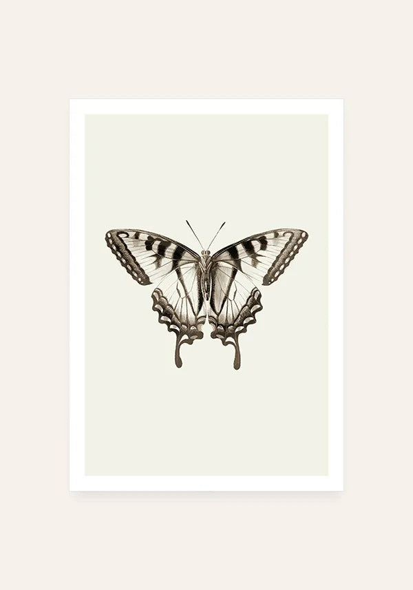 Quadro Borboleta
