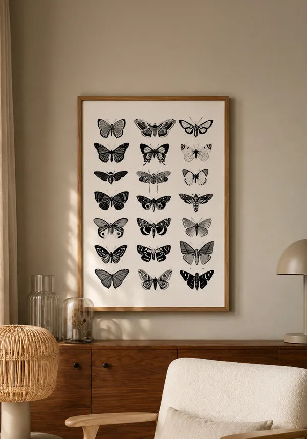 Quadro Coleção de Borboletas