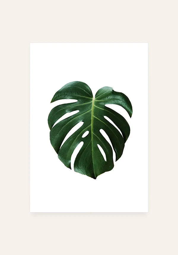 Quadro Costela de Adão Fundo Branco