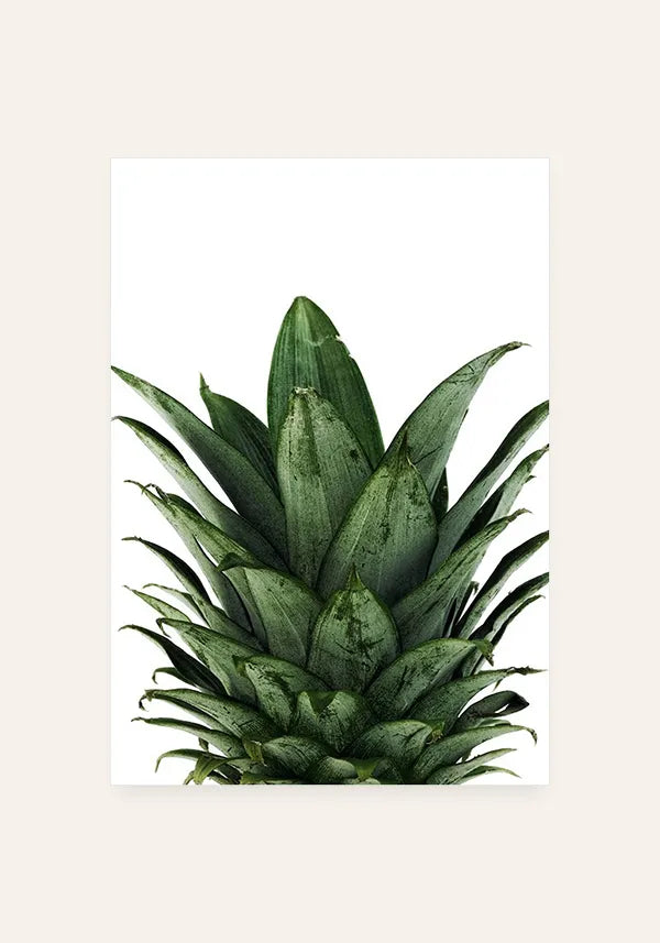 Quadro Coroa Abacaxi Fundo Branco