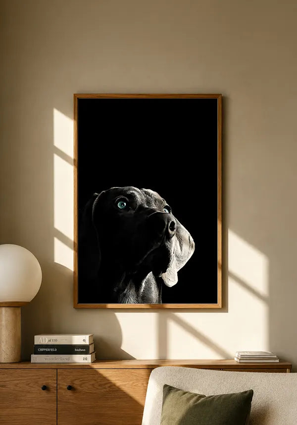 Quadro Cachorro Curioso