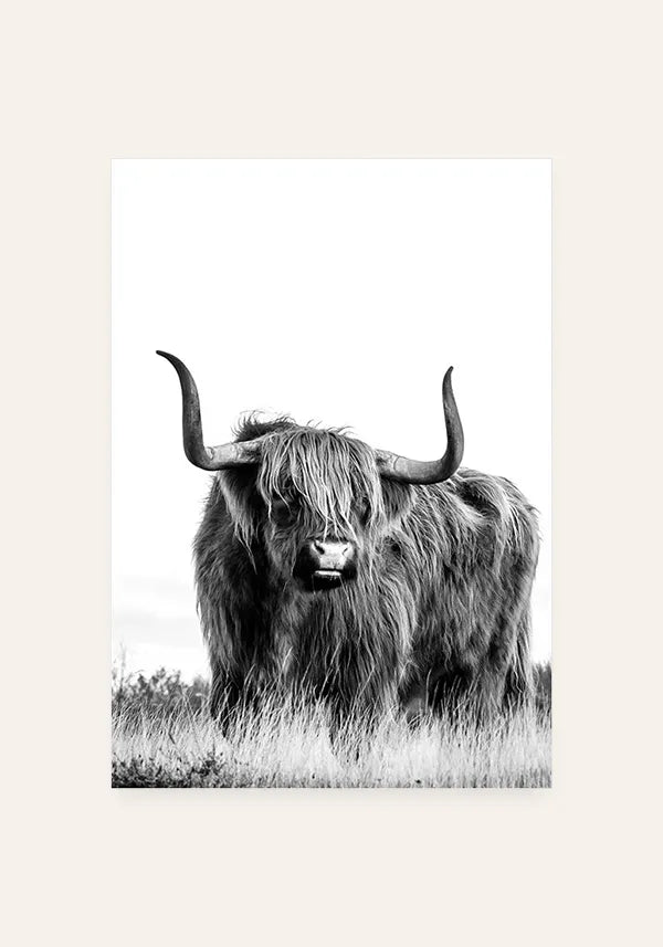 Quadro Bufalo Preto e Branco