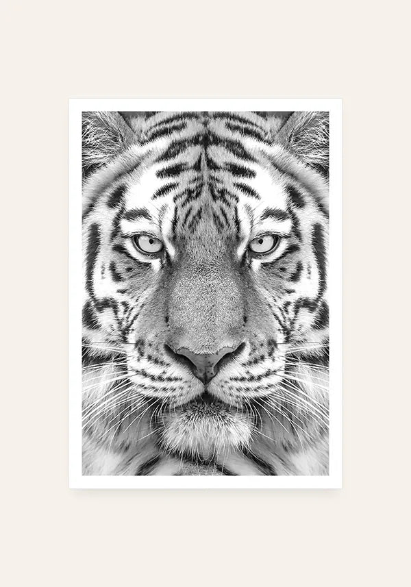 Quadro Decorativo Tigre