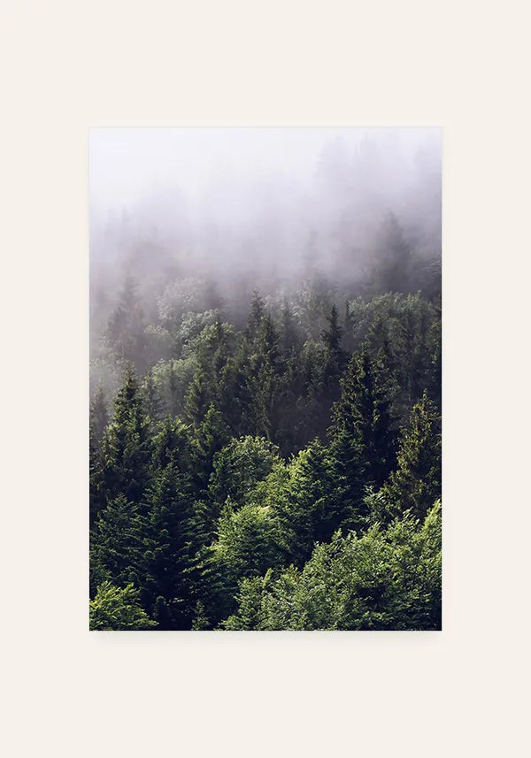 Quadro Decorativo Floresta com Neblina I