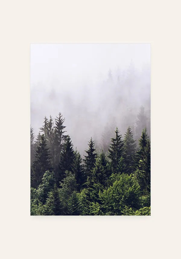 Quadro Decorativo Floresta com Neblina II