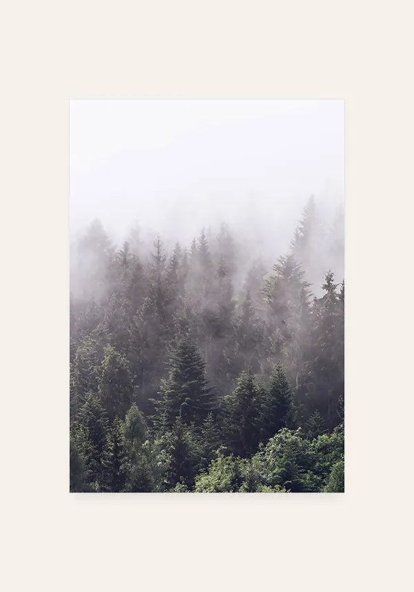 Quadro Decorativo Floresta com Neblina III