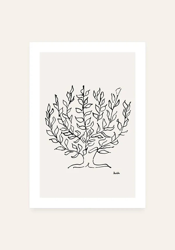 Quadro Matisse Coleção Traços IV