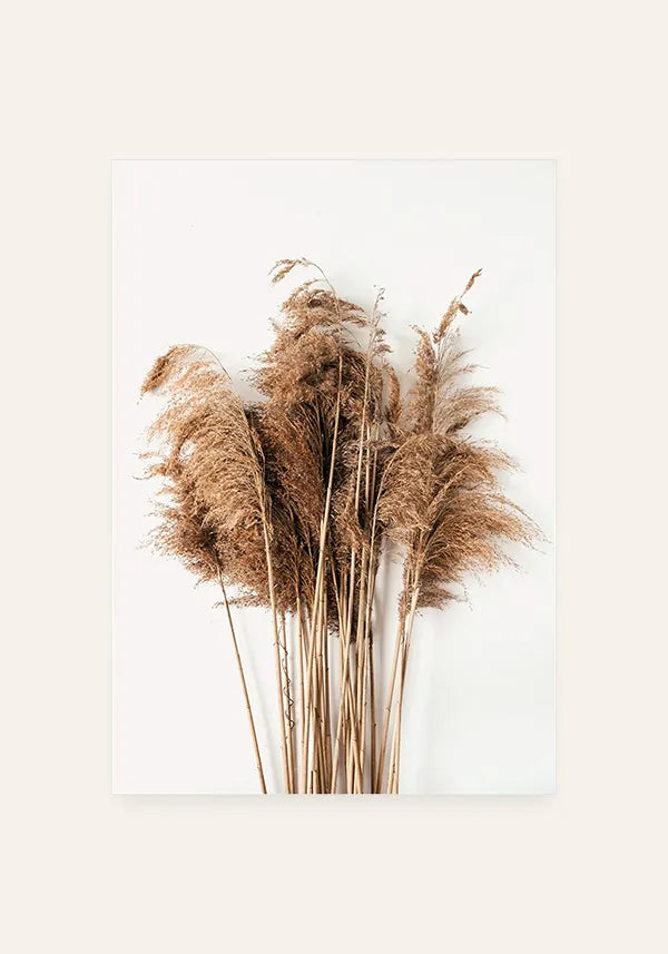 Quadro Capim dos Pampas Desidratado