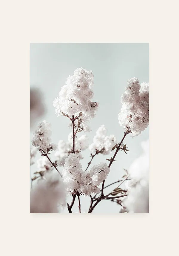 Quadro Flores Brancas