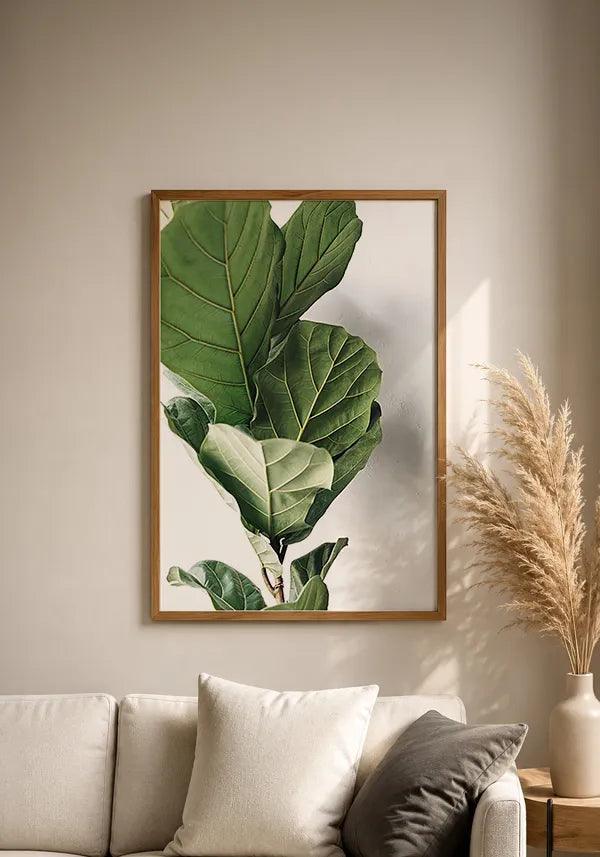 Quadro Ficus Lyrata