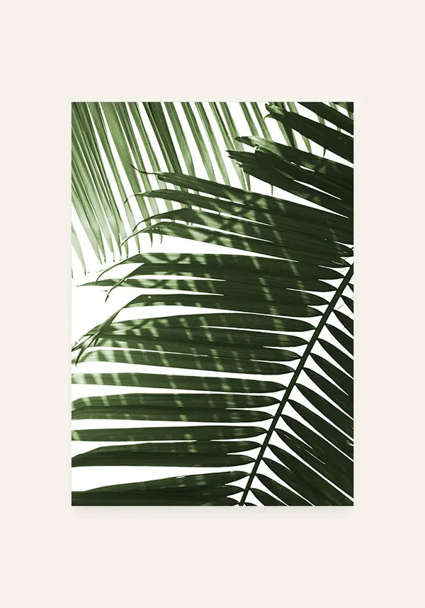 Quadro Folhas de Palmeira Verdes
