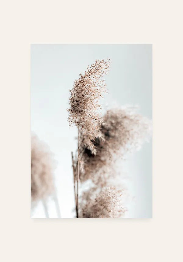 Quadro Grama dos Pampas