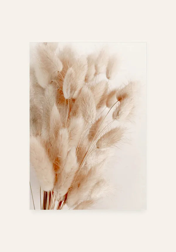 Quadro Flores Secas (Cauda de Coelho)