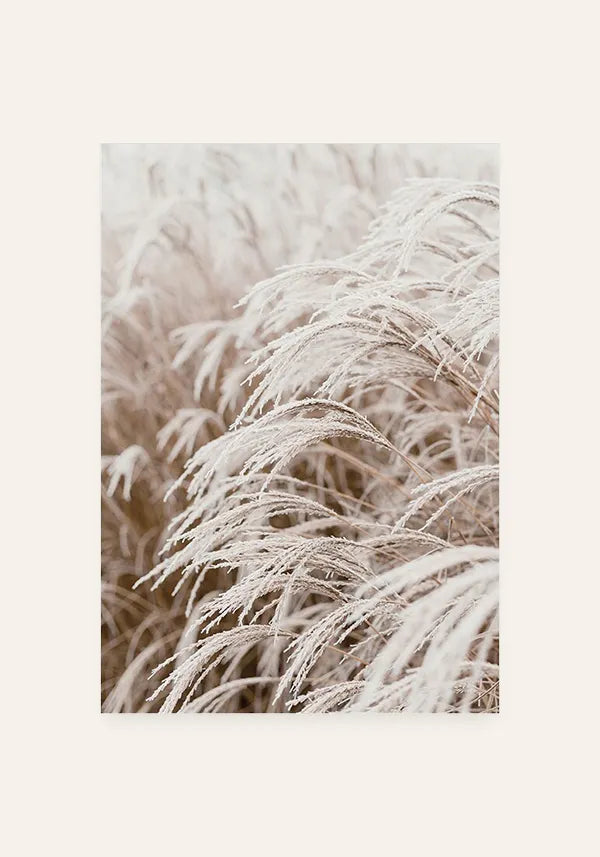 Quadro Grama sob a Neve