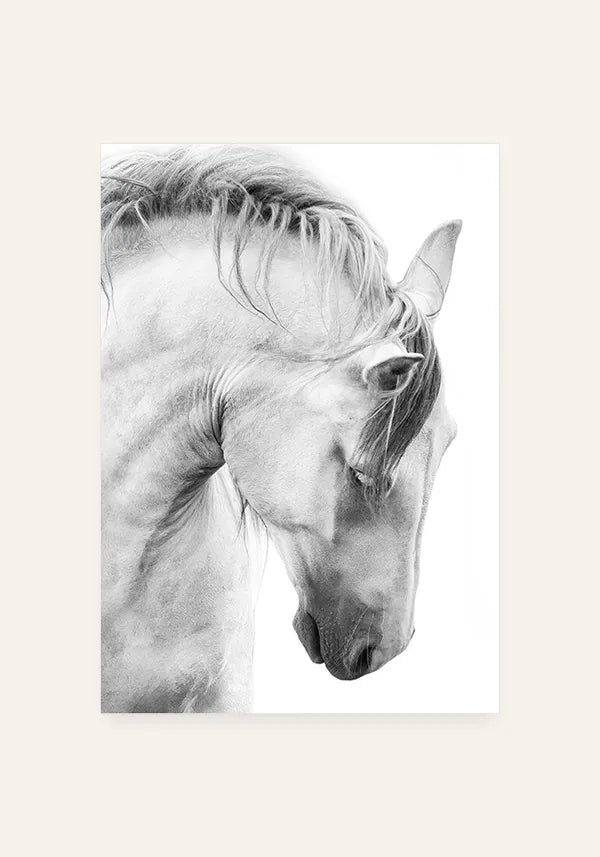 Quadro Cavalo Preto e Branco I