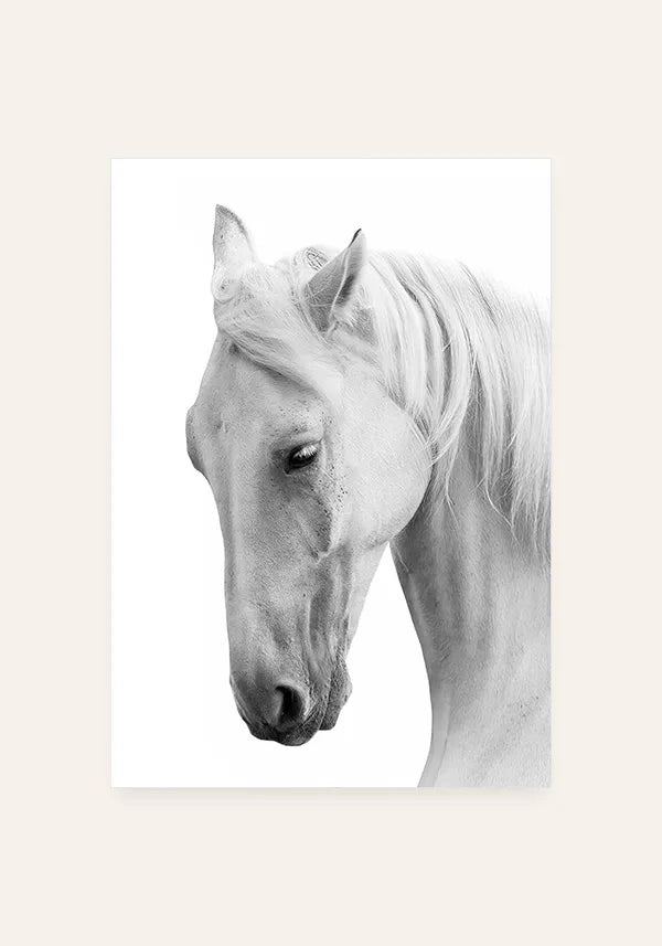 Quadro Cavalo Preto e Branco II