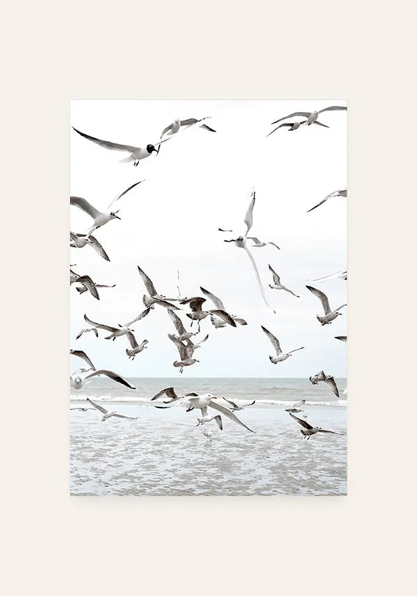 Quadro Gaivotas na Praia
