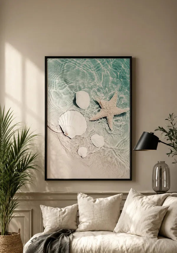 Quadro Conchas e Estrela do Mar