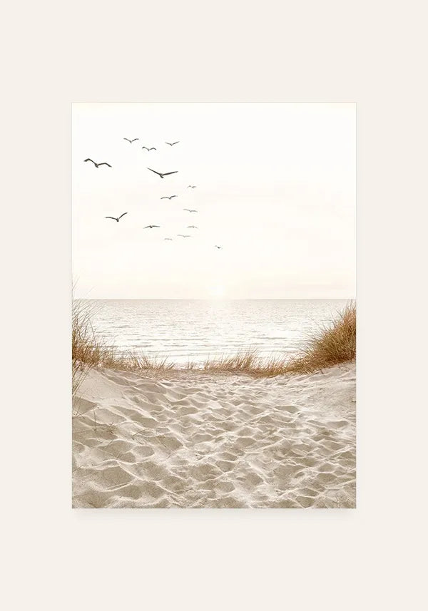 Quadro Pássaros na Praia Fotografia